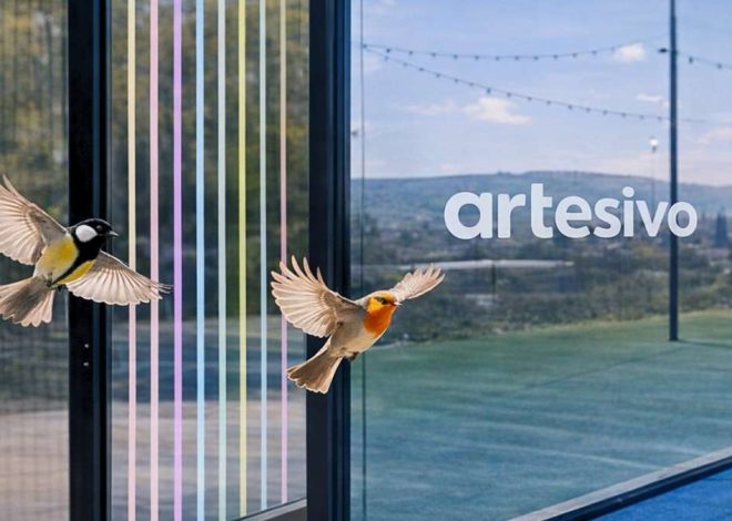 Ils protègent les oiseaux et ne gênent pas le jeu : la révolution des vinyles pour pistes de padel