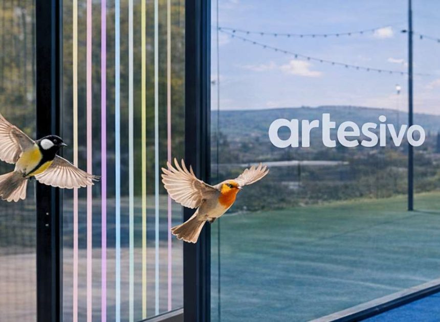 Ils protègent les oiseaux et ne gênent pas le jeu : la révolution des vinyles pour pistes de padel