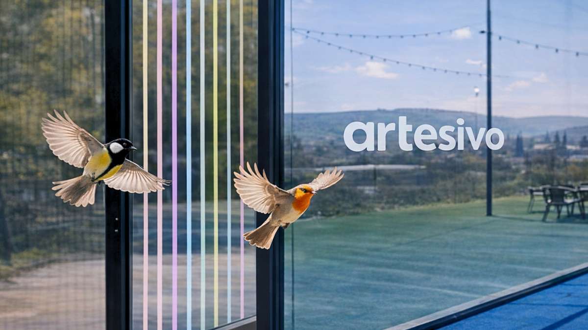 Ils protègent les oiseaux et ne gênent pas le jeu : la révolution des vinyles pour pistes de padel